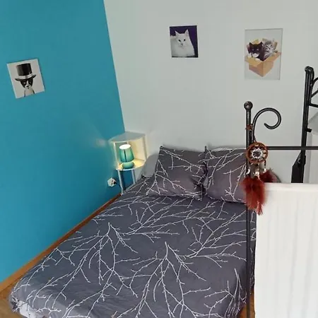 Studio Double 8 Avec Wifi Limoges Exterior photo