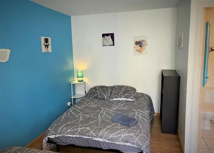 Studio Double 8 Avec Wifi